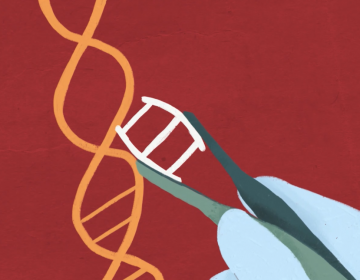 Genetic Modification: a nightmare for humanity or a gateway to prosperity?